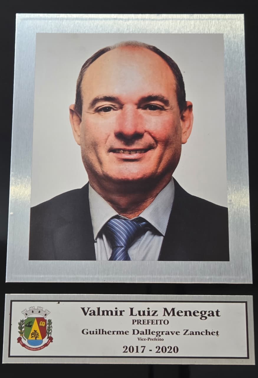 Valmir Luiz Menegat